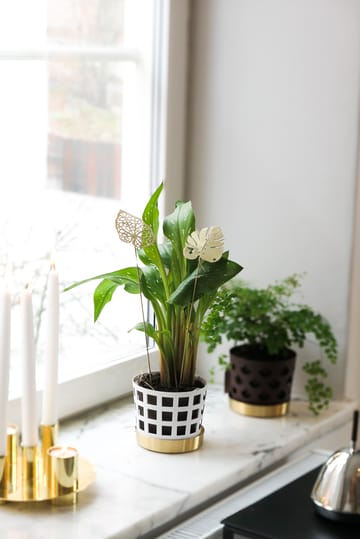 Decoración Brass leaves, set de 2 - Water - KLONG