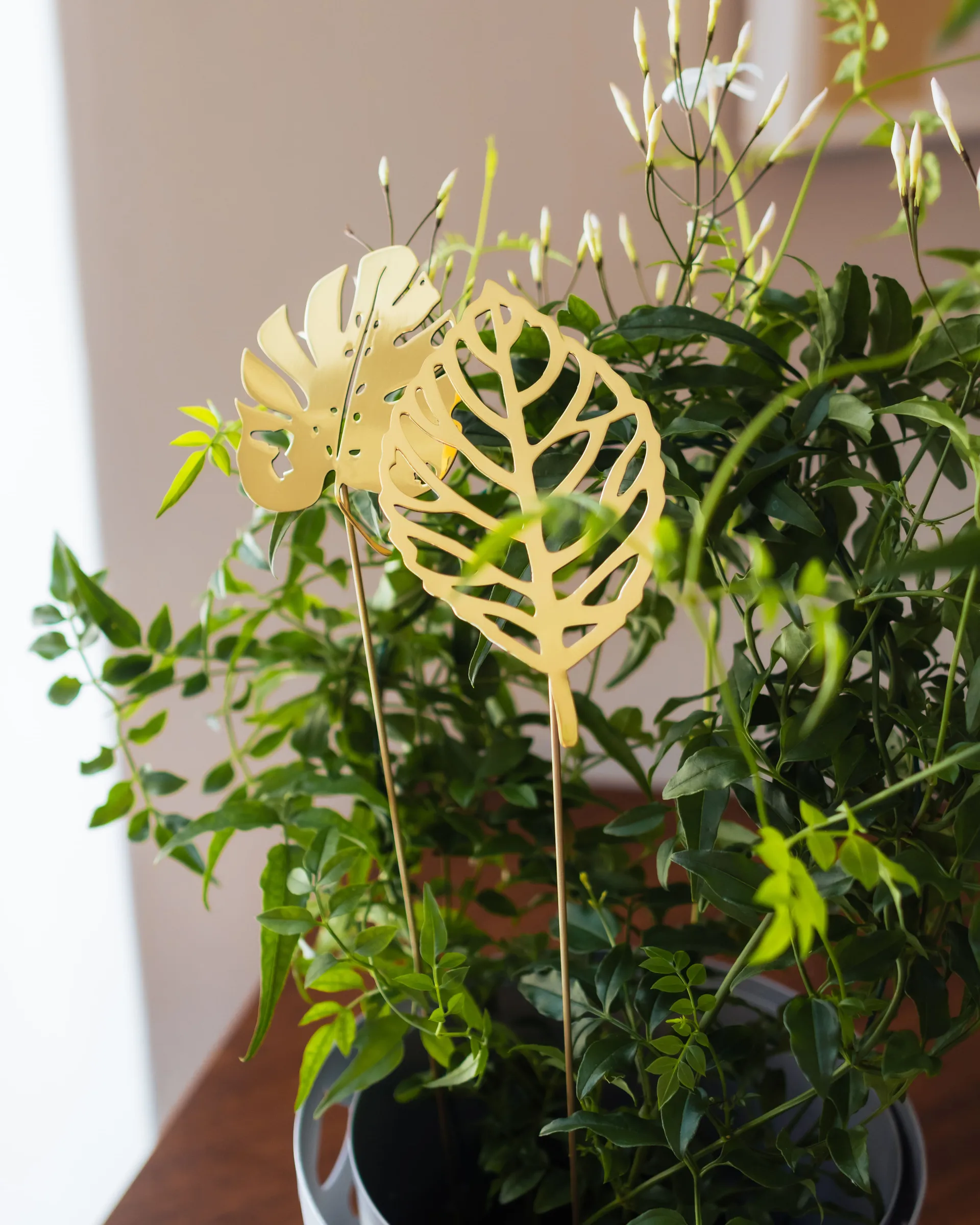 Decoración Brass leaves, set de 2, Wood KLONG