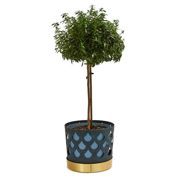 Maceta Trio drop, grande Ø28 cm, azul KLONG