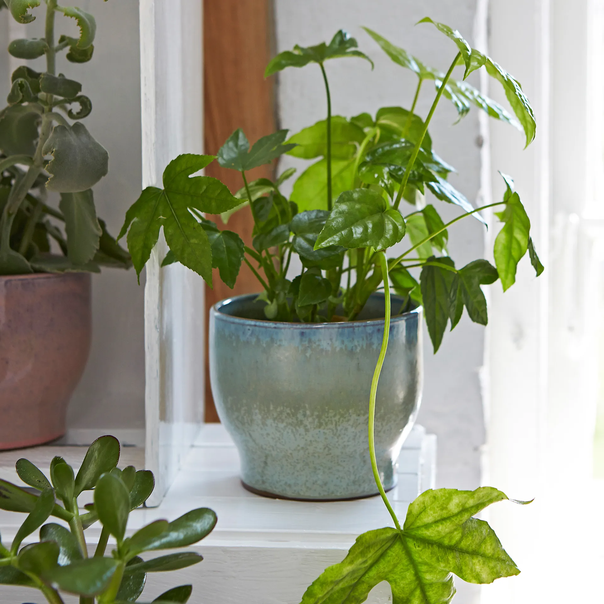 Maceta exterior Knabstrup Ø14,5 cm, Menta suave Knabstrup Keramik