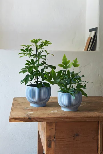 Maceta Knabstrup acanalada Ø14,5 cm - azul lavanda - Knabstrup Keramik