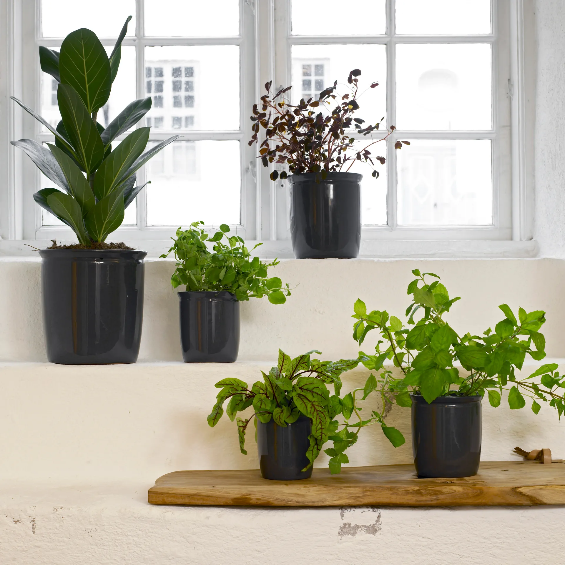 Tarro de Pickle 4 l, gris antracita Knabstrup Keramik