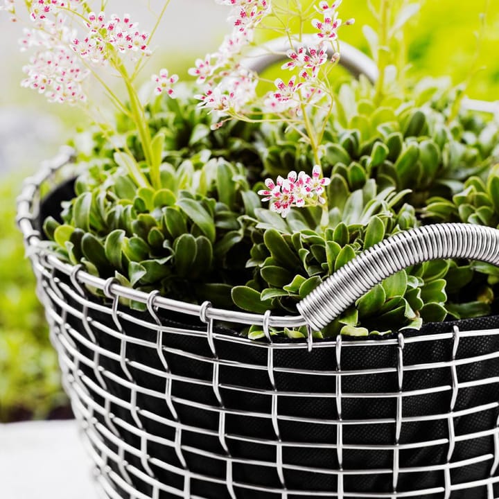 Cesta de alambre Korbo Classic 50, acero galvanizado KORBO