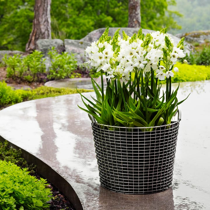 Cesta de alambre Korbo Classic 50, acero galvanizado KORBO