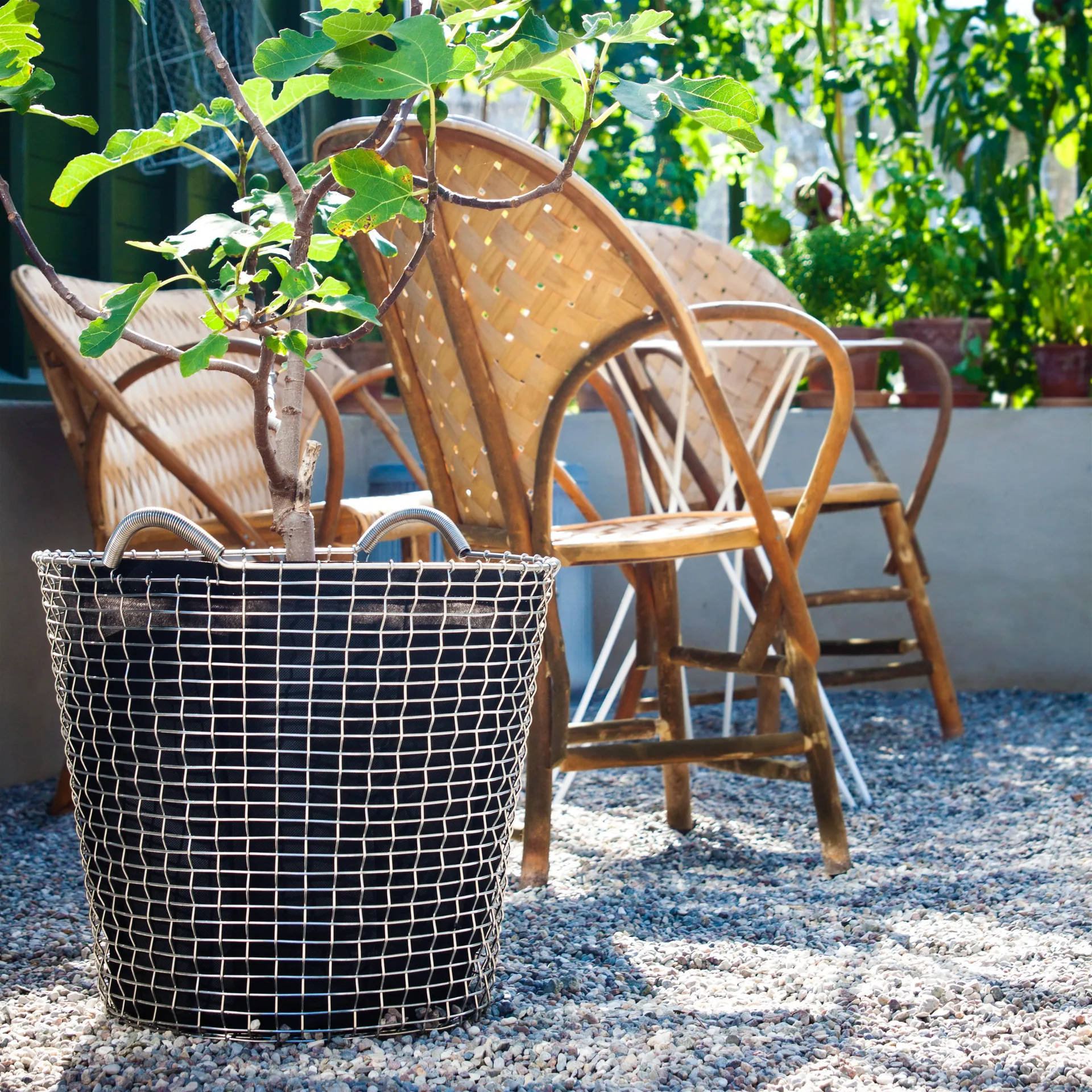 Cesta de alambre Korbo Classic 65, acero galvanizado KORBO