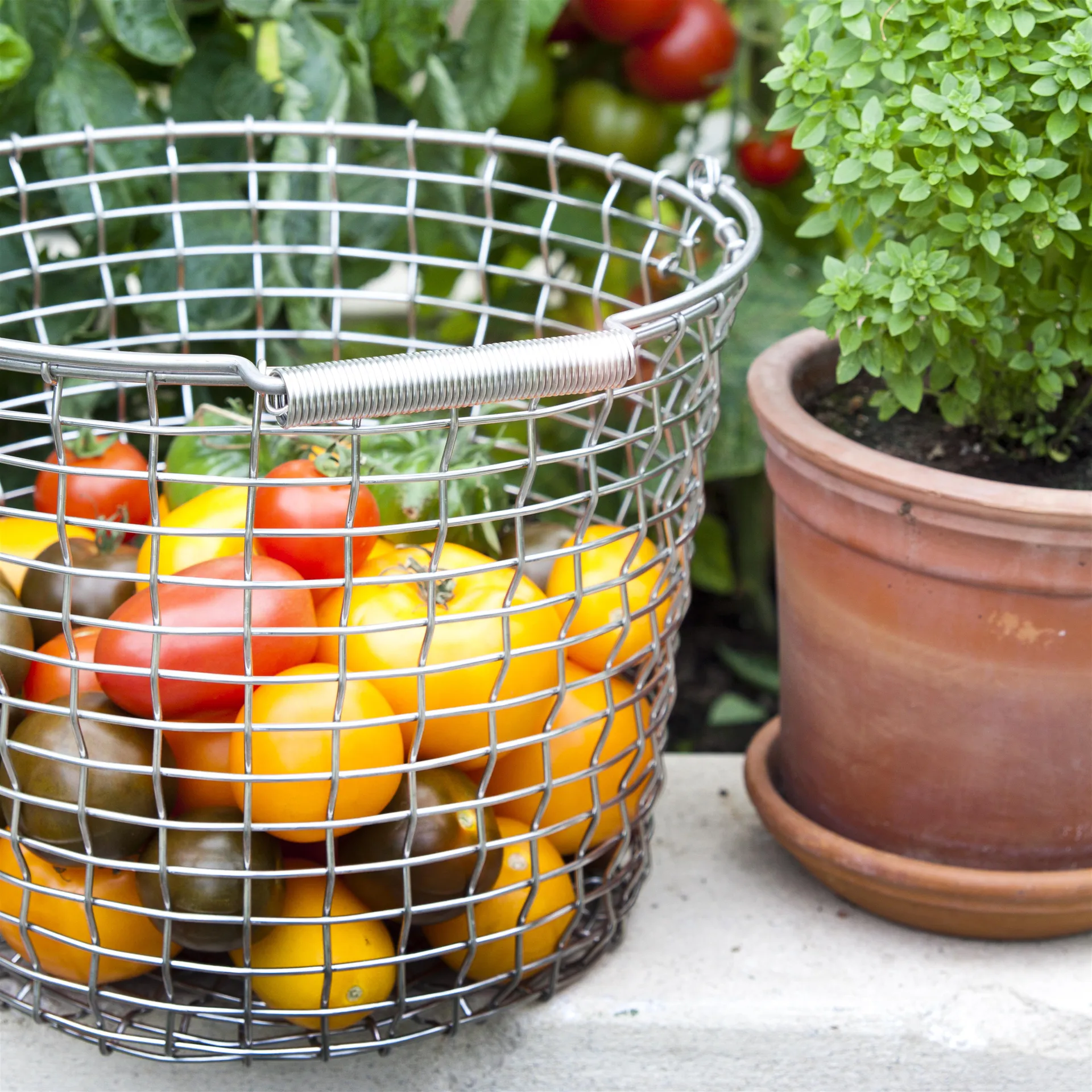 Cesta Korbo Bucket 16, acero resistente a los ácidos KORBO