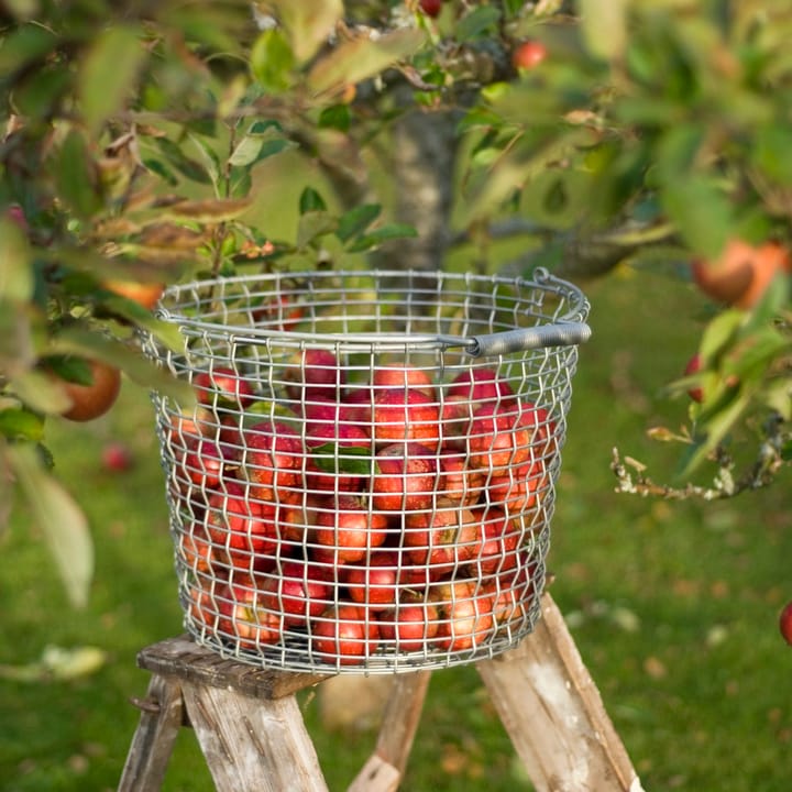 Cesta metálica Korbo Bucket 24, acero galvanizado KORBO
