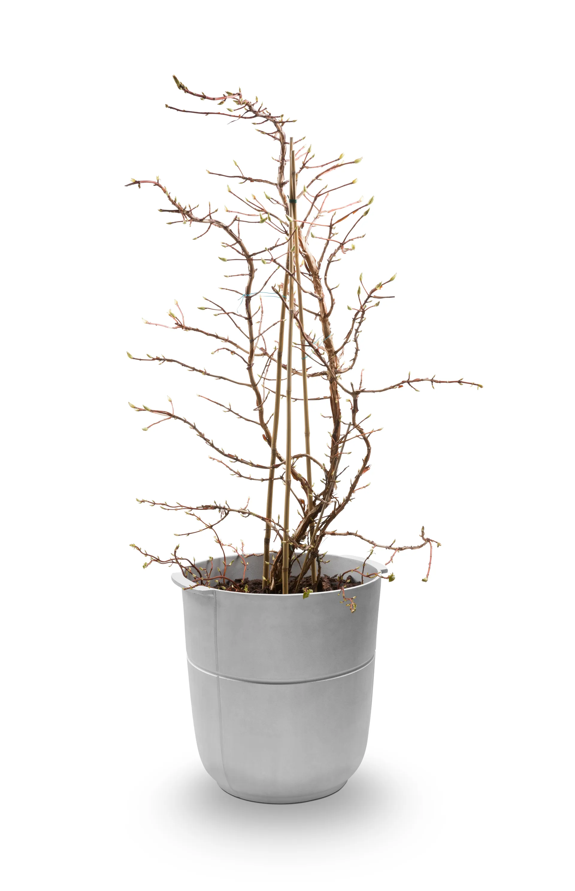 Maceta Linea nr 1 alta, Aluminio KORBO