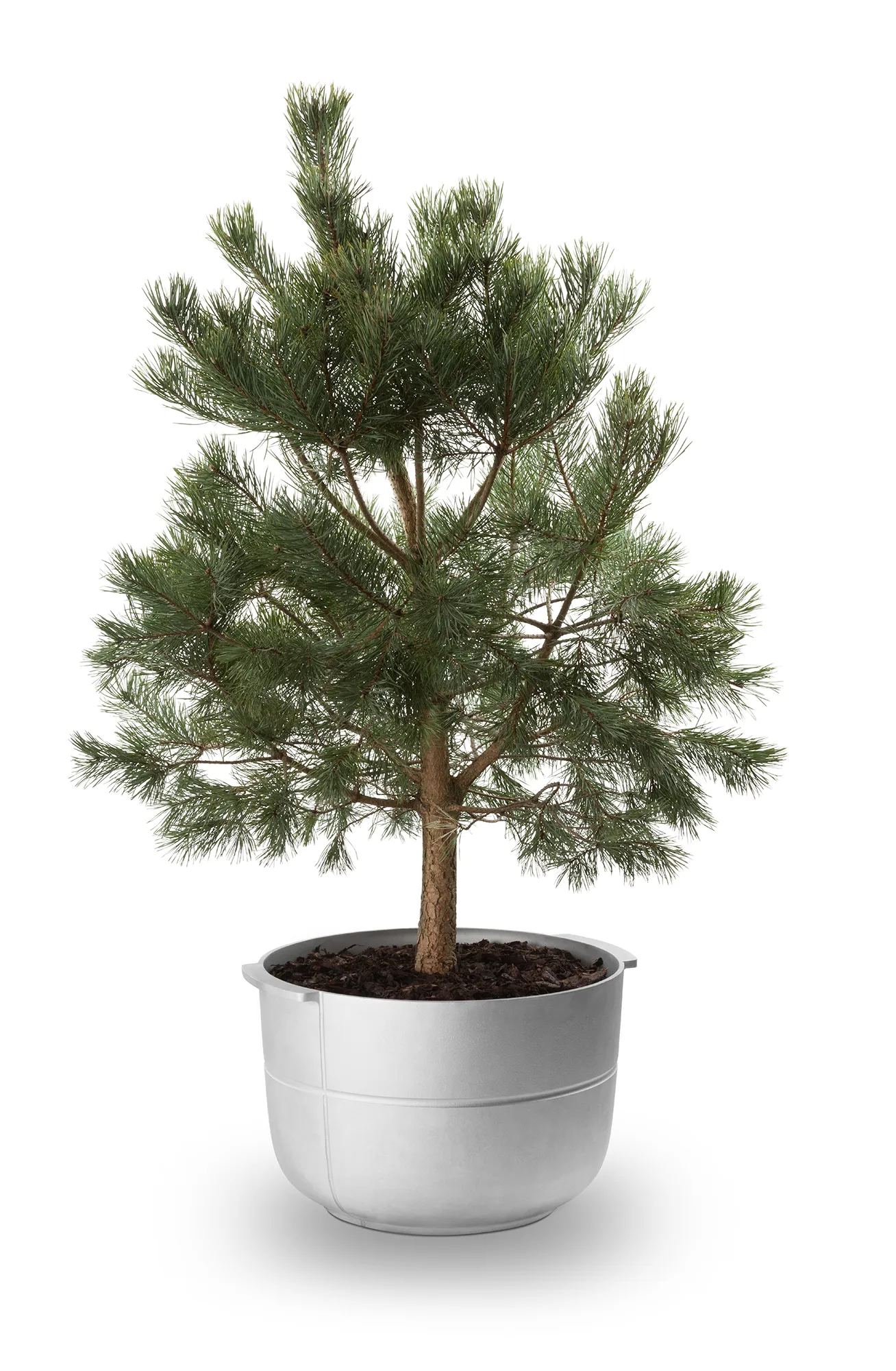 Maceta Linea nr 2 media, Aluminio KORBO