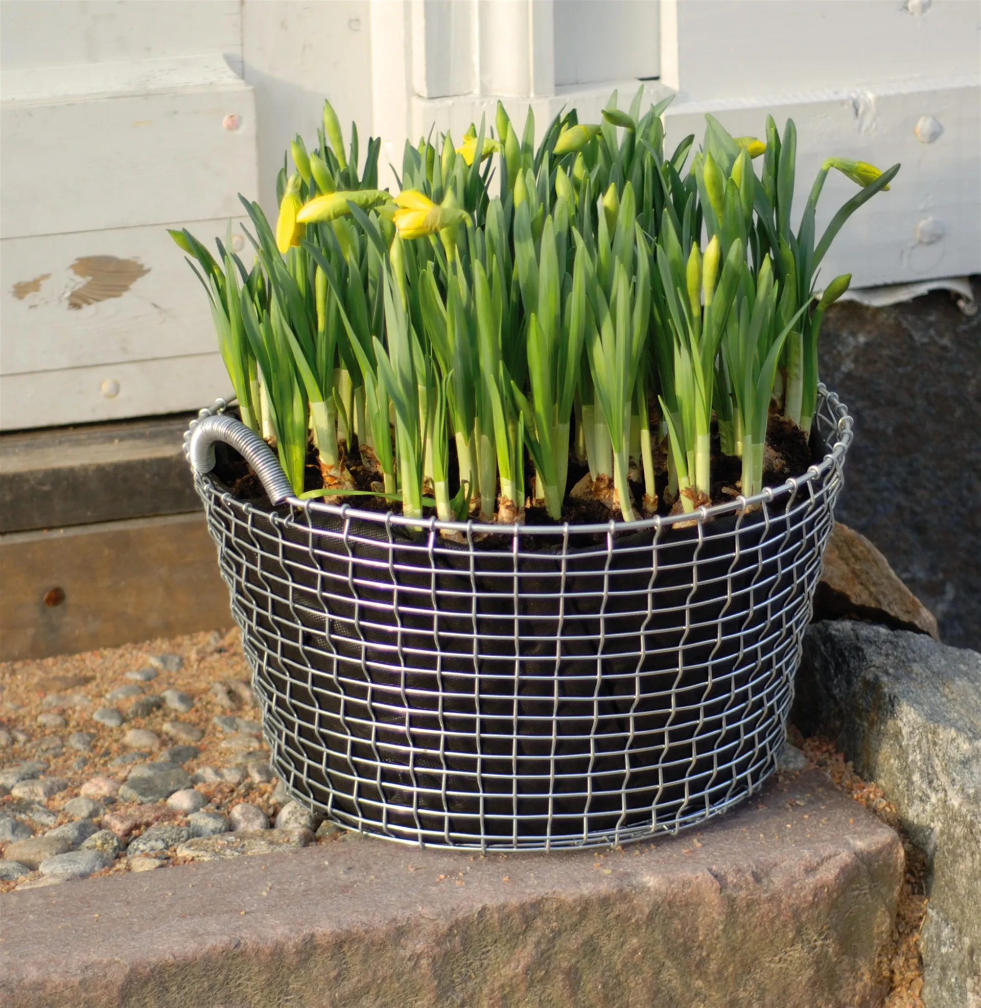 Saco para plantar Korbo 3 piezas, 24 L KORBO