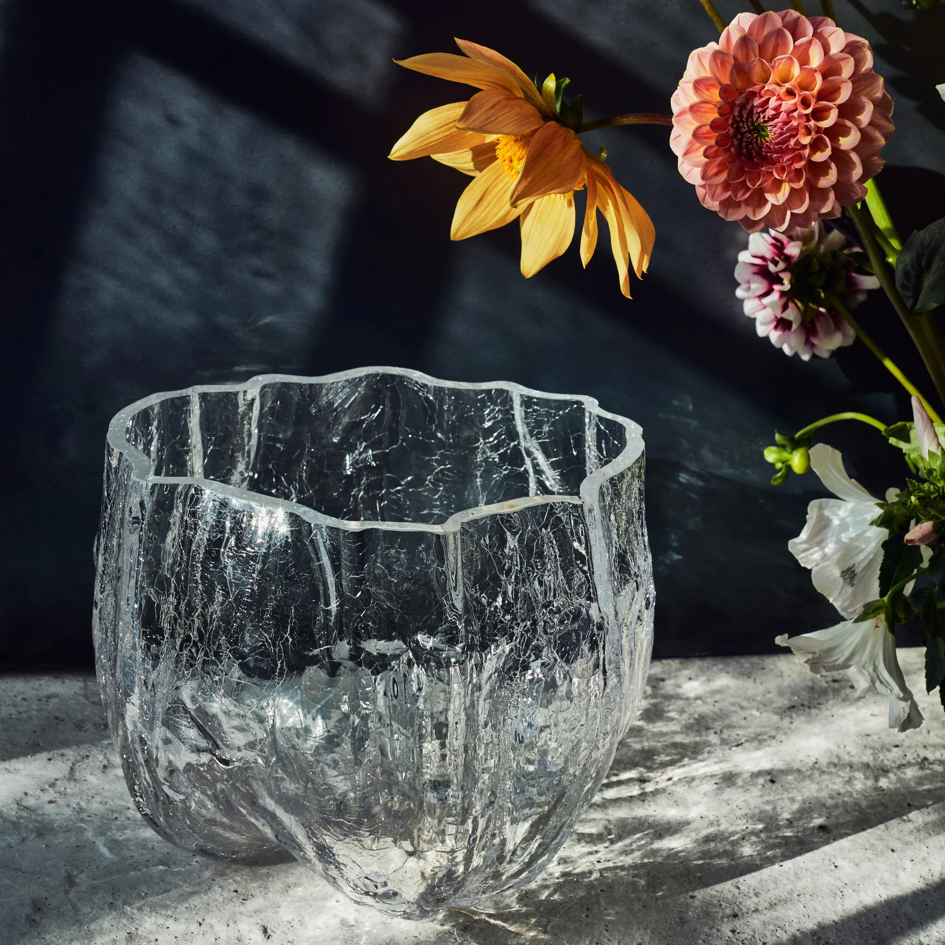 Bol grande Crackle, transparente Kosta Boda