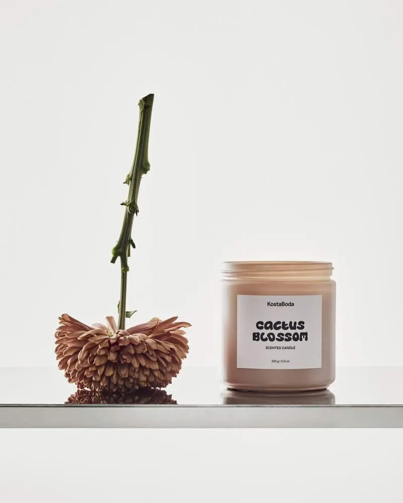 Vela perfumada Mind, Cactus Blossom, 330 g Kosta Boda
