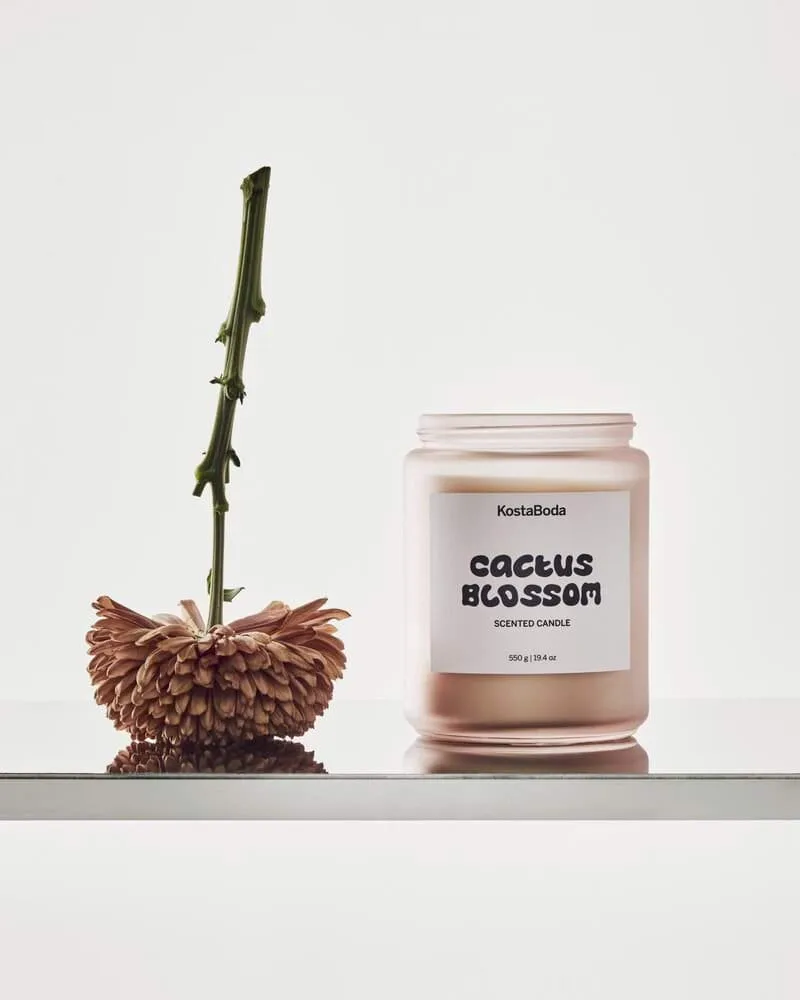 Vela perfumada Mind, Cactus Blossom, 550 g Kosta Boda
