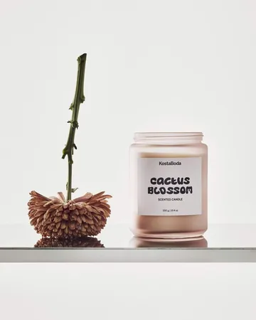 Vela perfumada Mind - Cactus Blossom, 550 g - Kosta Boda