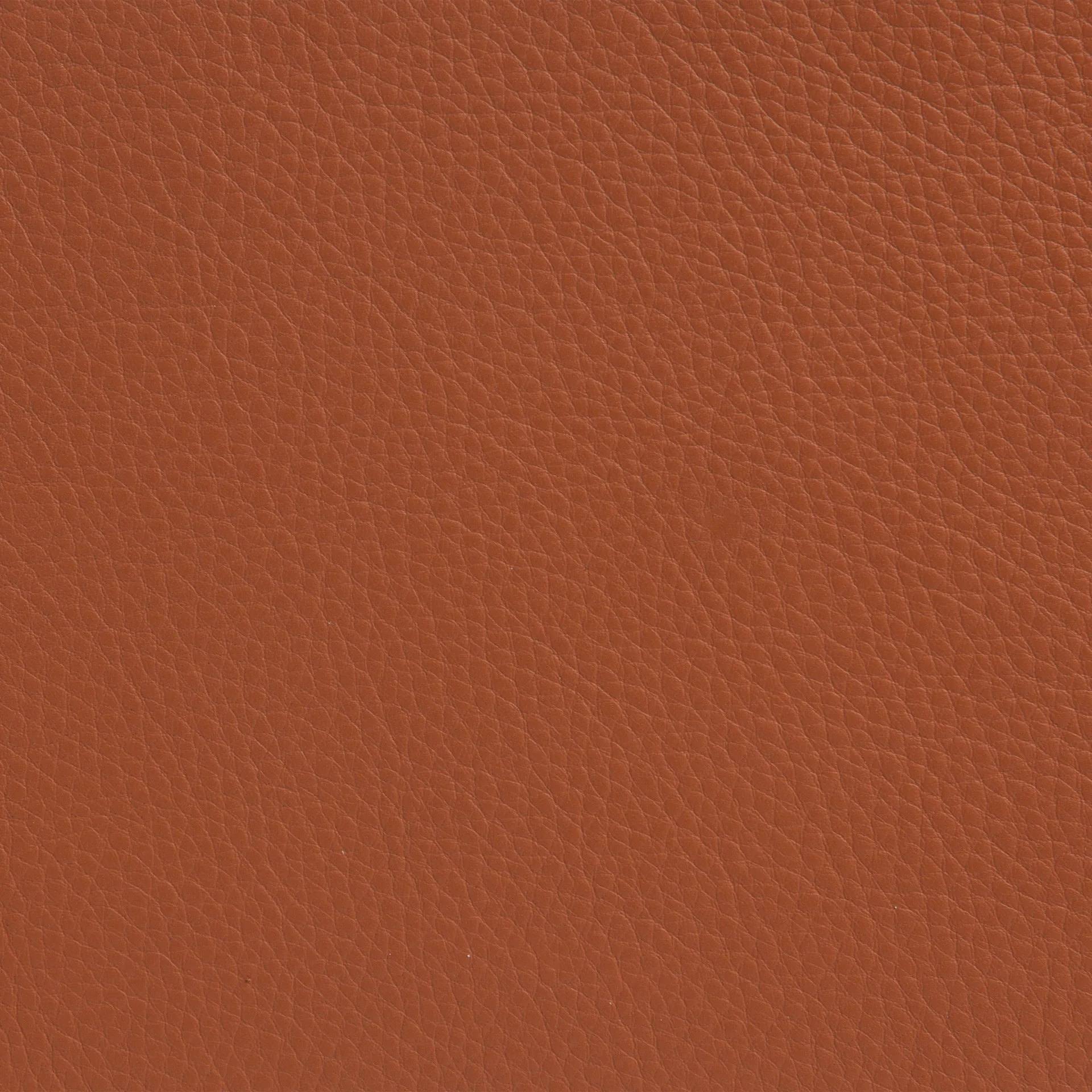 Butaca Sunny con reposabrazos, Piel color coñac con estructura cromada y ruedas Lammhults