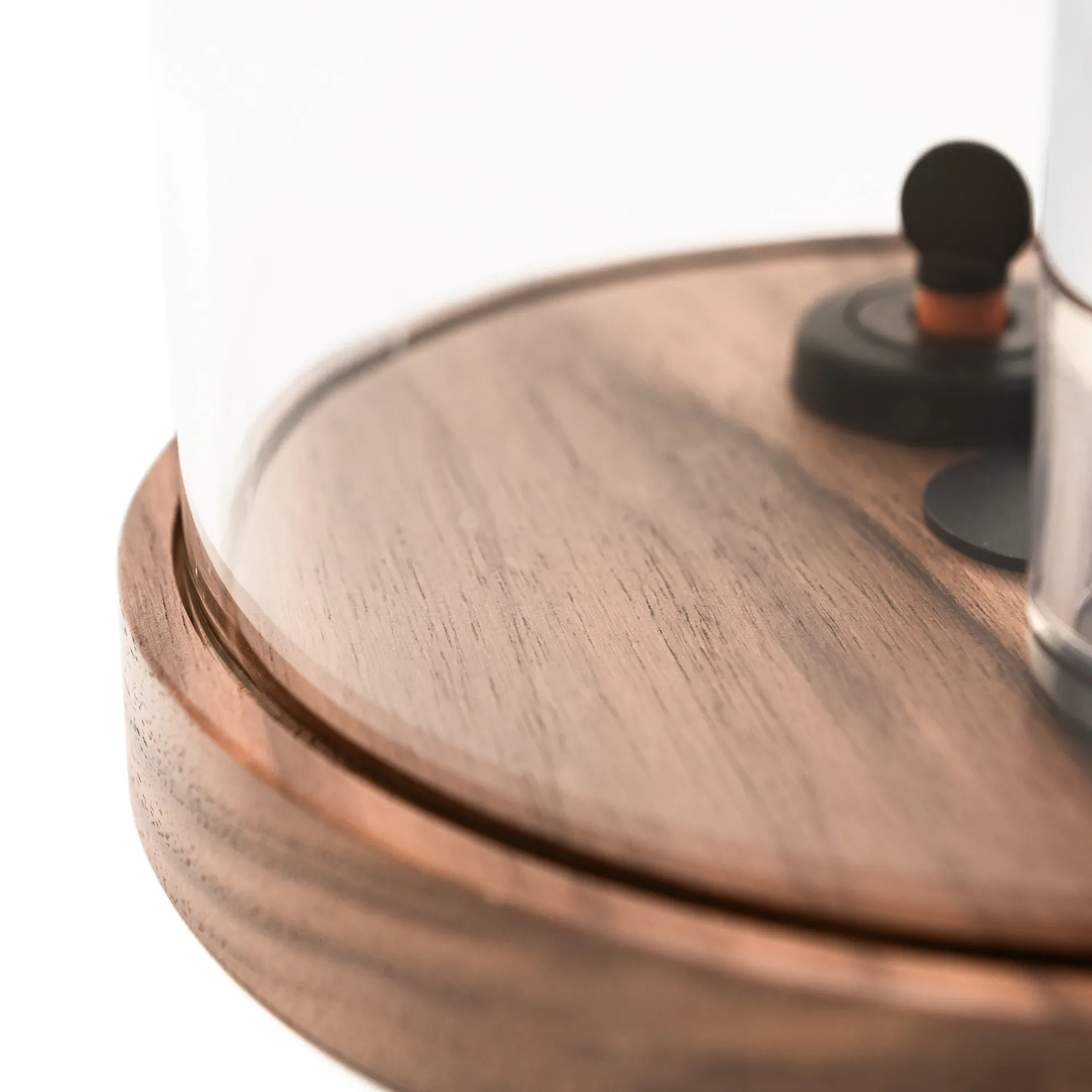 Accesorios para vino Le Globe, 5 piezas L'Atelier du Vin