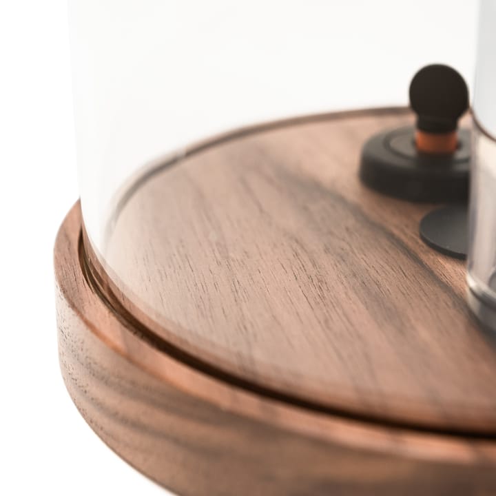 Accesorios para vino Le Globe, 5 piezas L'Atelier du Vin