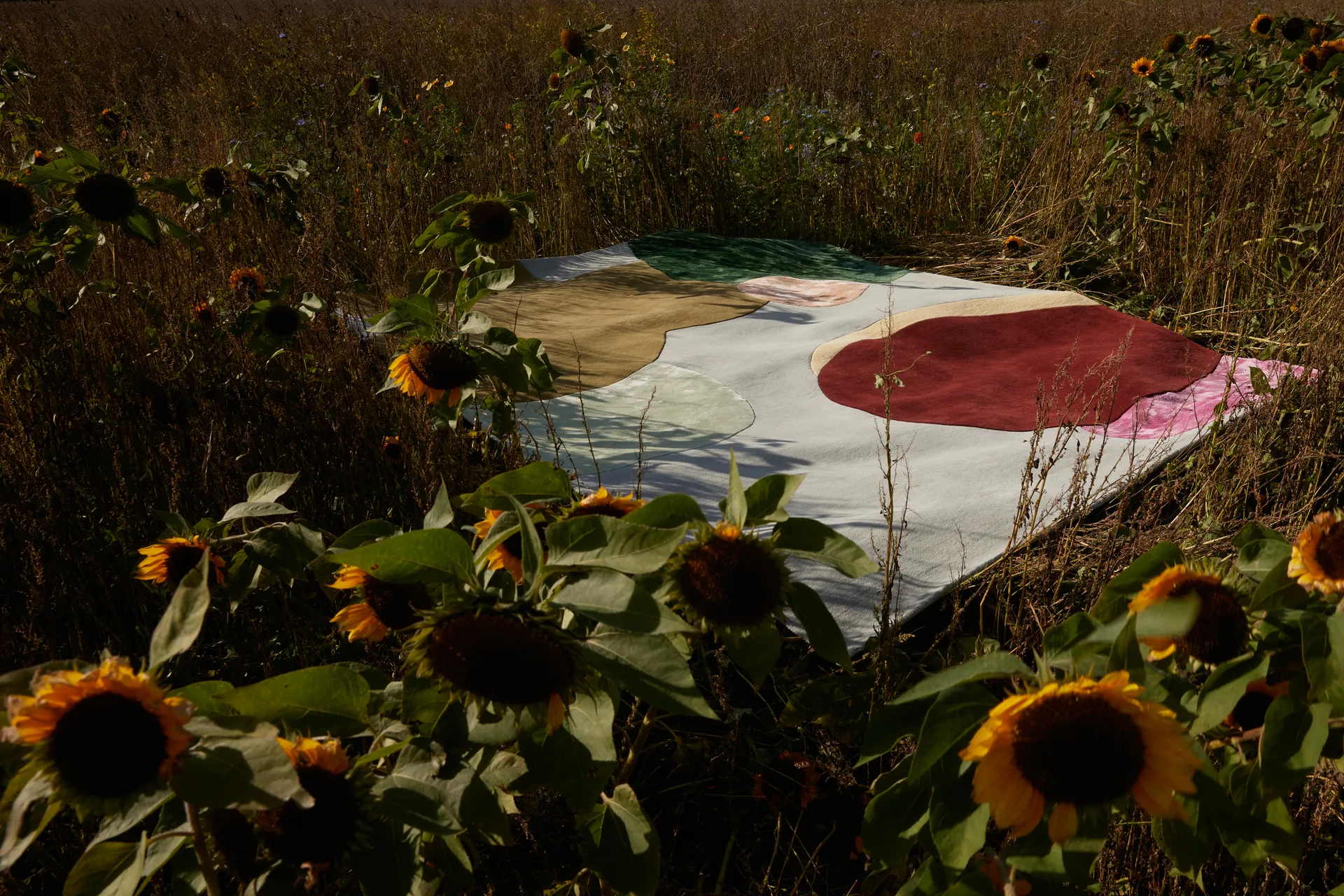 Alfombra de lana Sleeping Flower, 250x350 cm Layered
