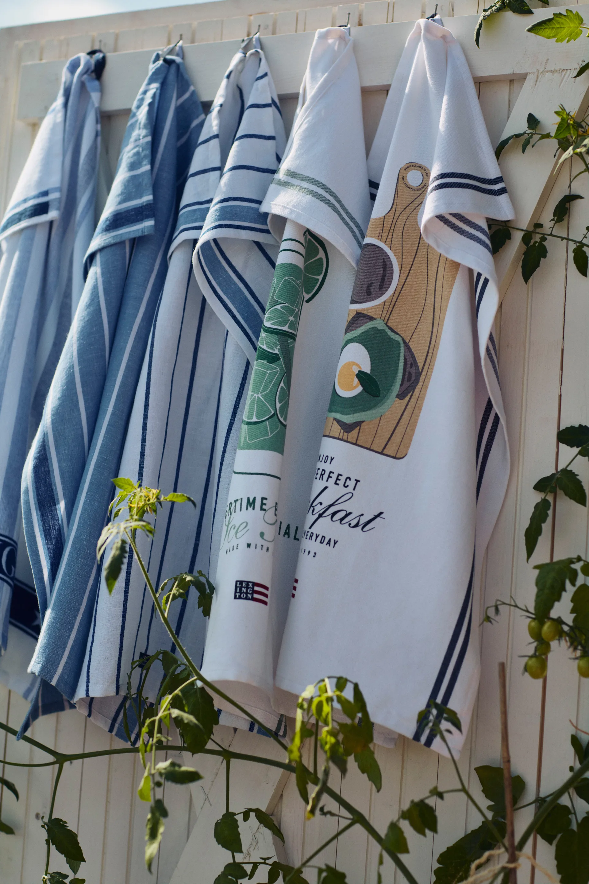 Paño de cocina Striped Cotton Terry 50x70 cm, White-blue Lexington