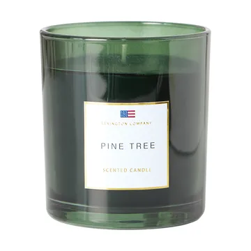 Pine Tree Scented Candle - Vela aromática Pine Tree - Lexington