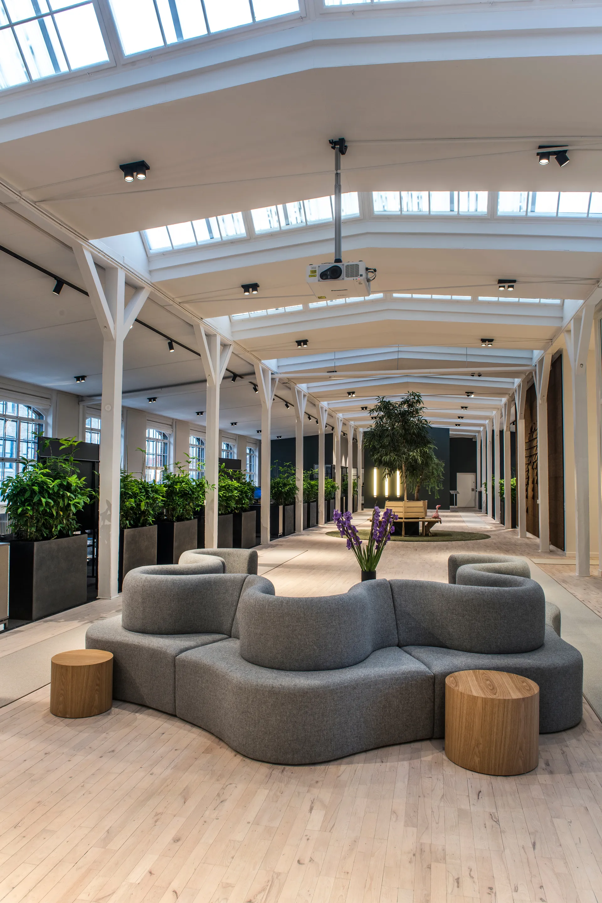 Aplique y plafón Focus 2 switch tune, Negro Light-Point