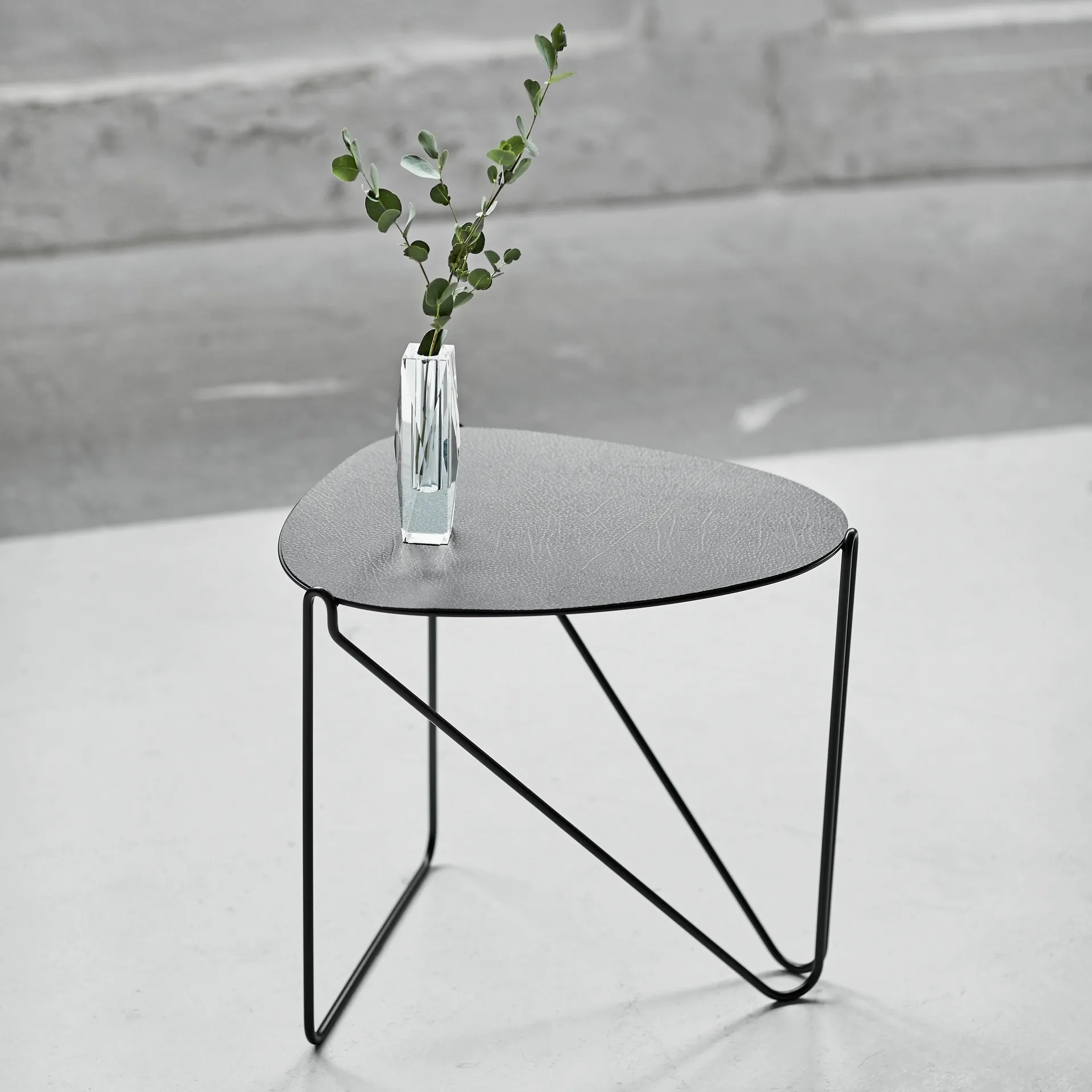Mesa auxiliar Curve Chameleon Hippo, Black-anthracite LIND DNA