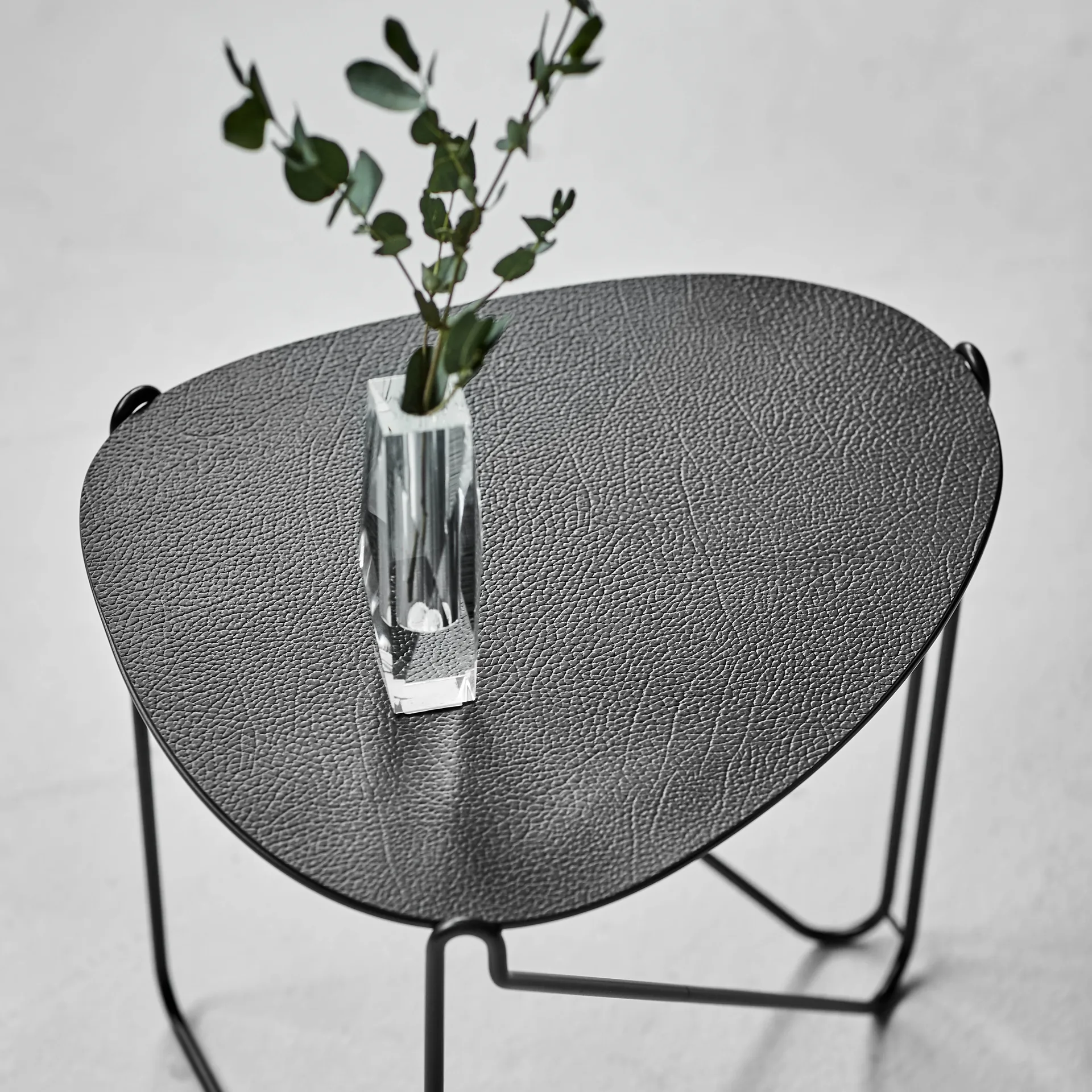 Mesa auxiliar Curve Chameleon Hippo, Black-anthracite LIND DNA
