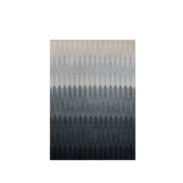 Alfombra Acacia, Grey, 170x240 cm Linie Design