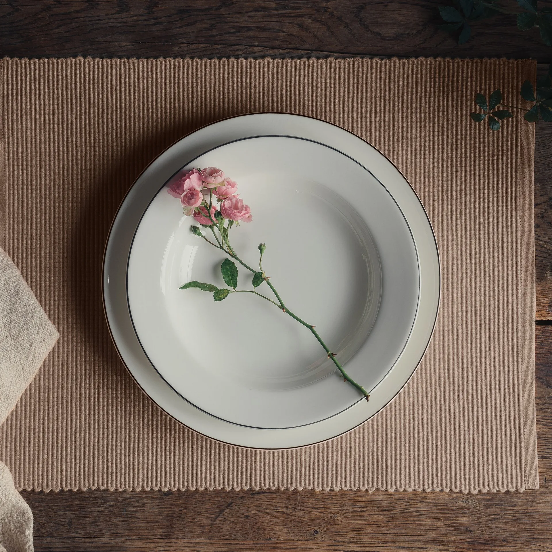 2 Manteles individuales Uni 35x46 cm, marrón salmonete Linum