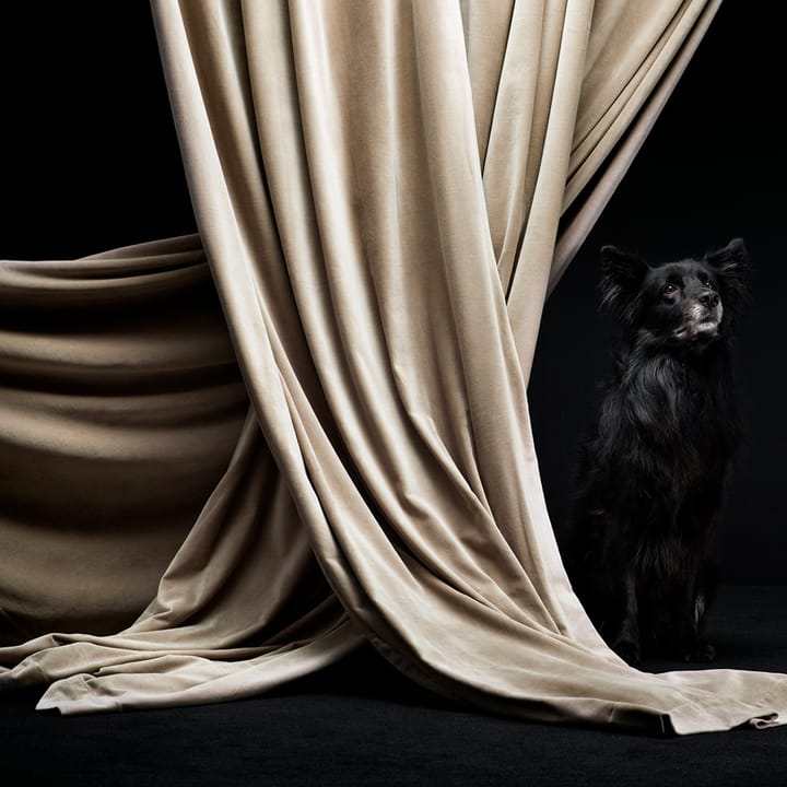 Cortina con banda Paolo, beige cremoso Linum