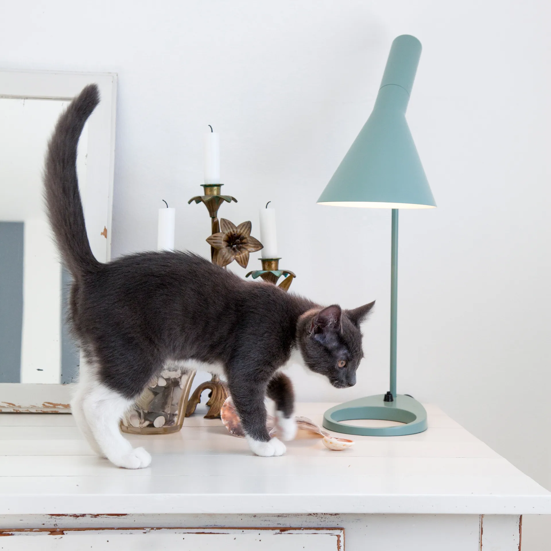 Lámpara de mesa AJ, Petróleo claro Louis Poulsen