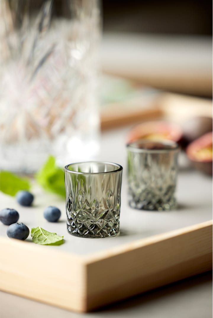 4 Vasos de chupito Sorrento 4 cl, Smoke Lyngby Glas