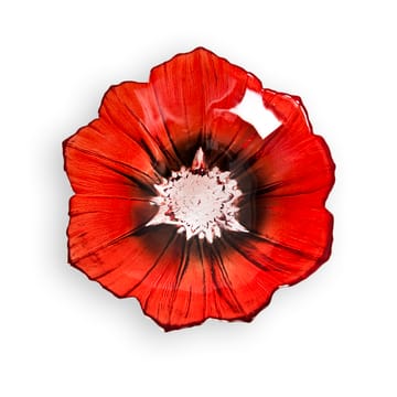 Bol Poppy pequeño - rojo-negro - Målerås Glasbruk