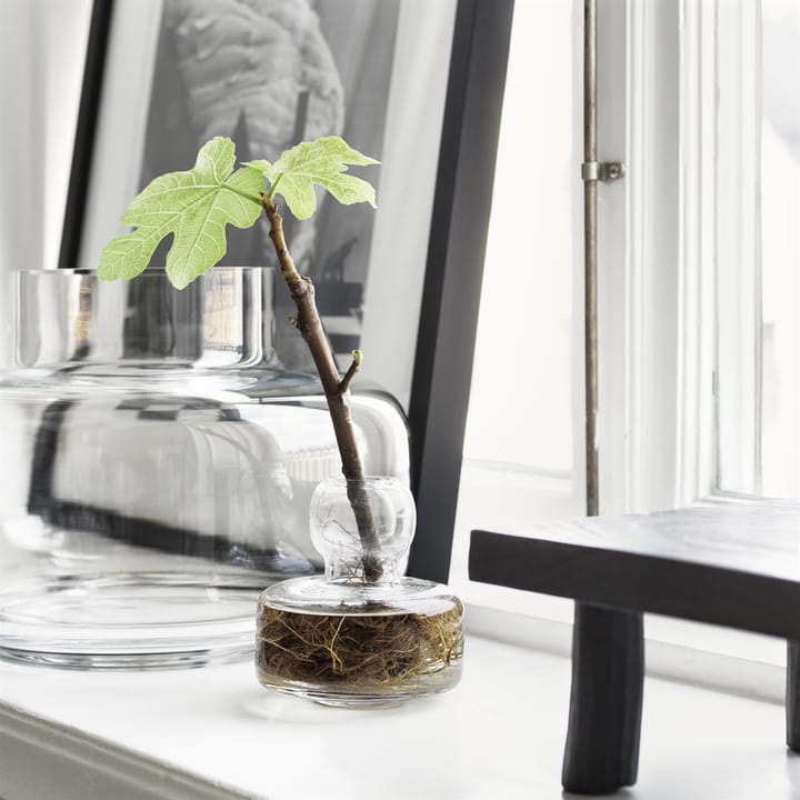Jarrón Urna 21 cm, tranparente Marimekko
