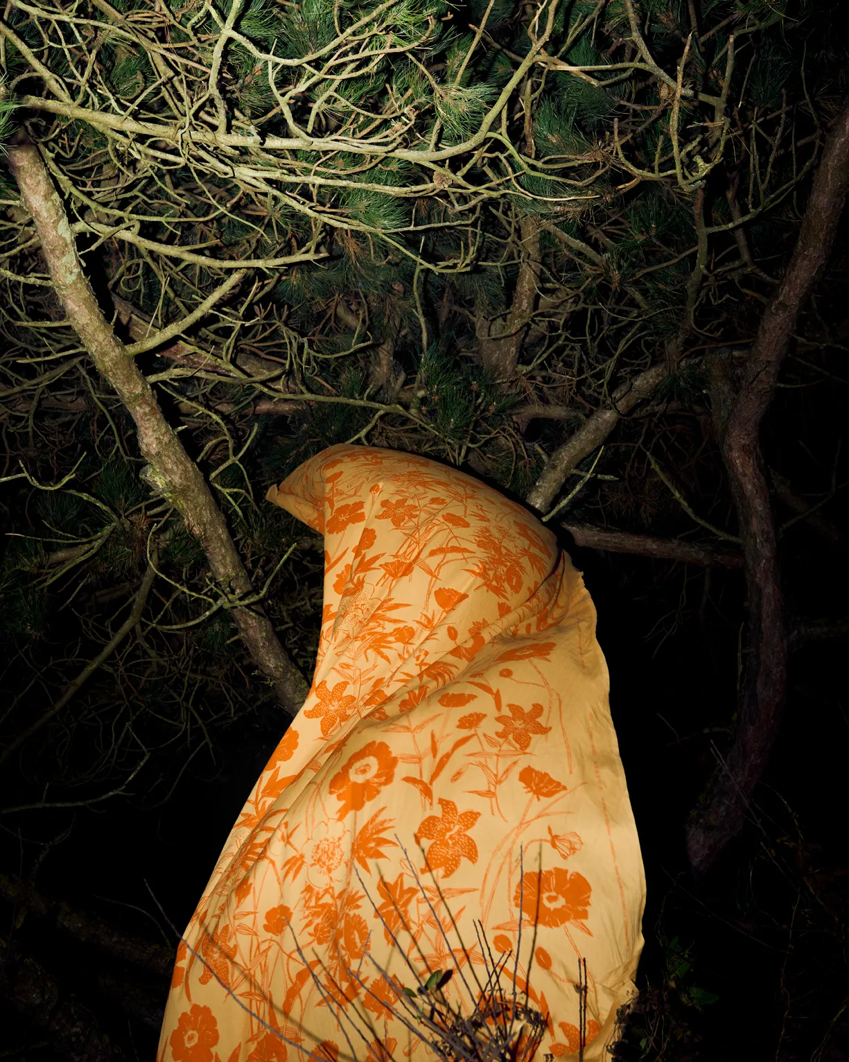 Tela de algodón Perenna, Caramelo-naranja quemado Marimekko