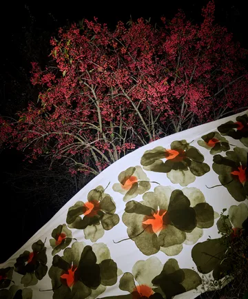 Tela de algodón Valssi - Blanco-verde bosque-tomate - Marimekko