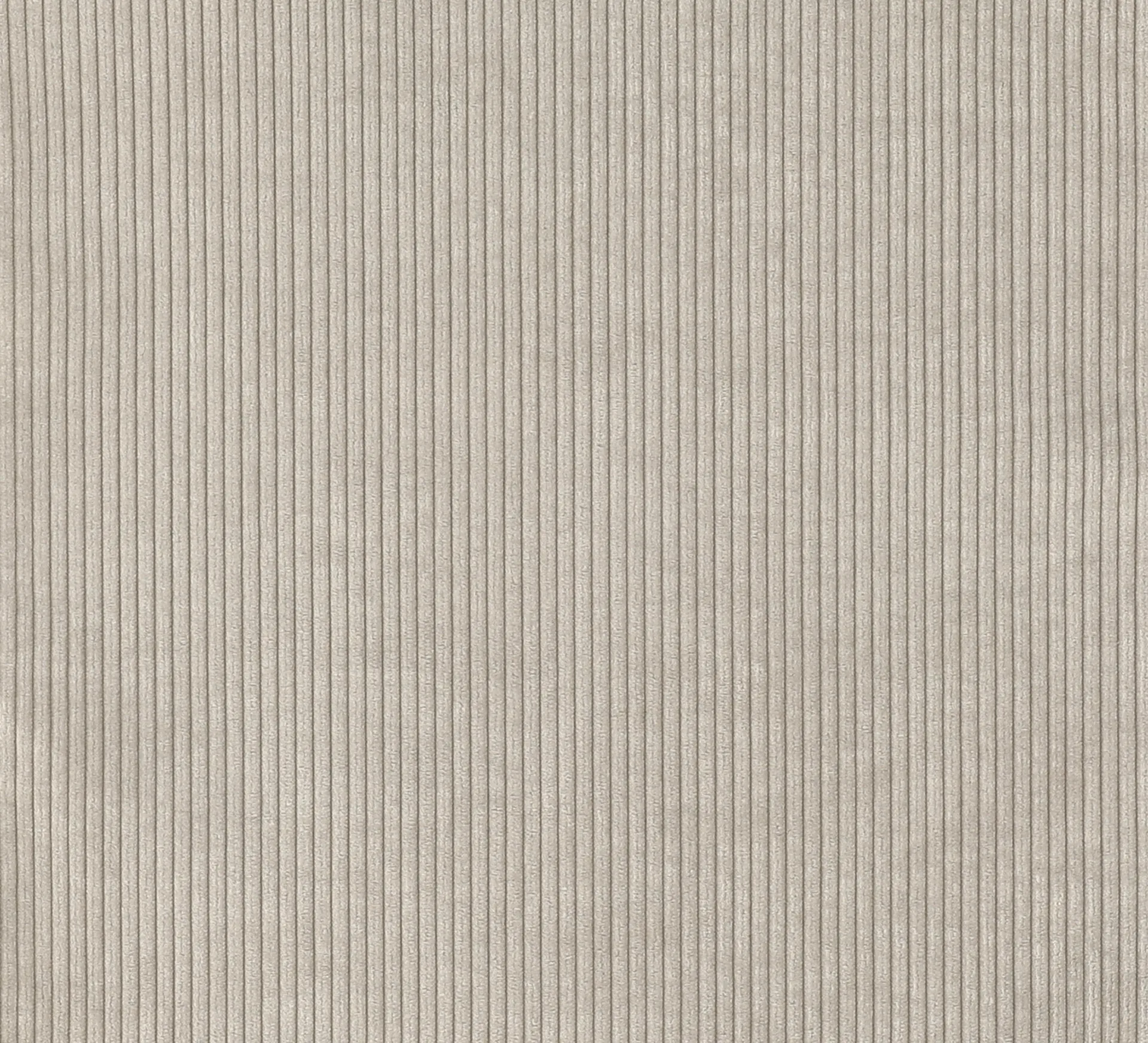 Muestra de tejido Jump, Beige 1956 Material Samples