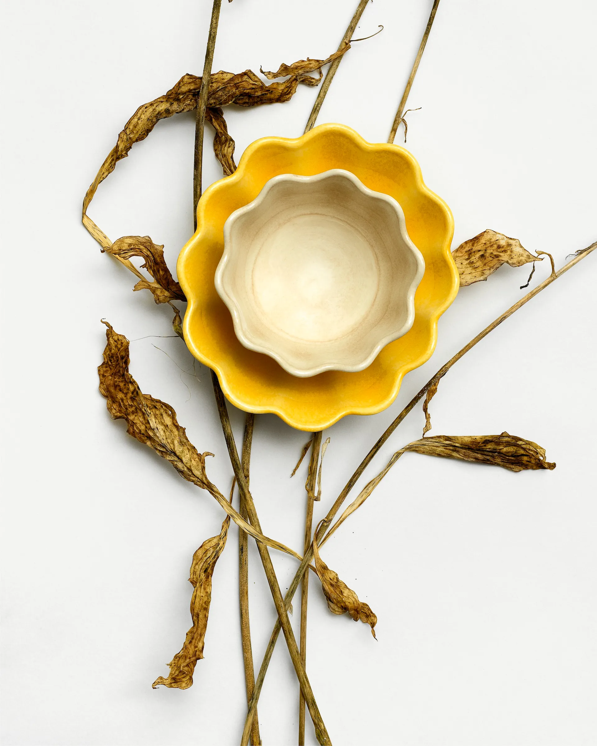 Bol Oyster Ø13 cm, arena Mateus