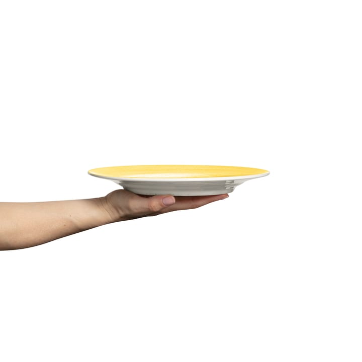 Plato Basic 25 cm, Amarillo Mateus