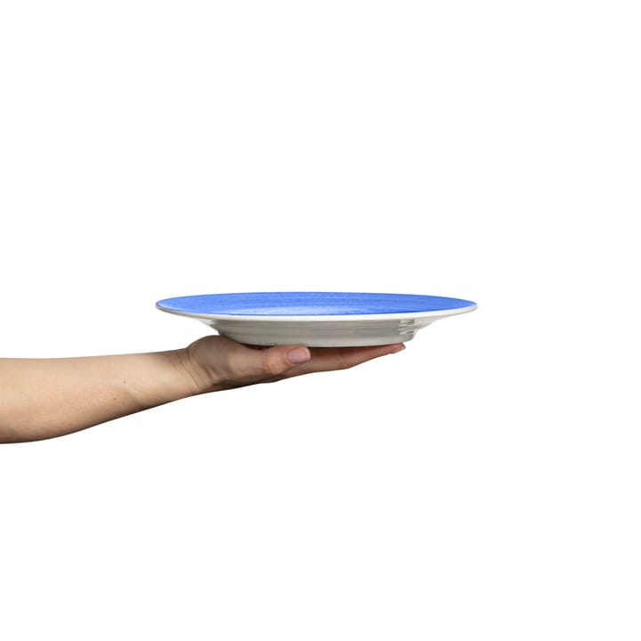 Plato Basic 25 cm, Azul claro Mateus
