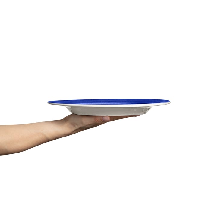 Plato Basic 25 cm, Azul Mateus