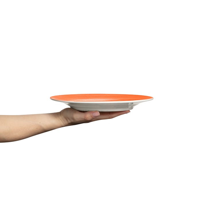 Plato Basic 25 cm, Naranja Mateus