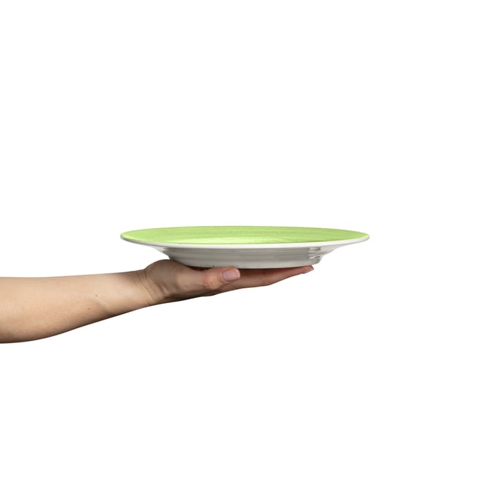 Plato Basic 25 cm, verde Mateus