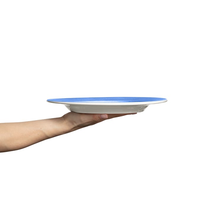 Plato Basic 28 cm, Azul claro Mateus