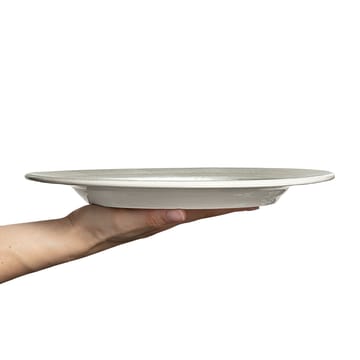 Plato Basic 28 cm - gris - Mateus