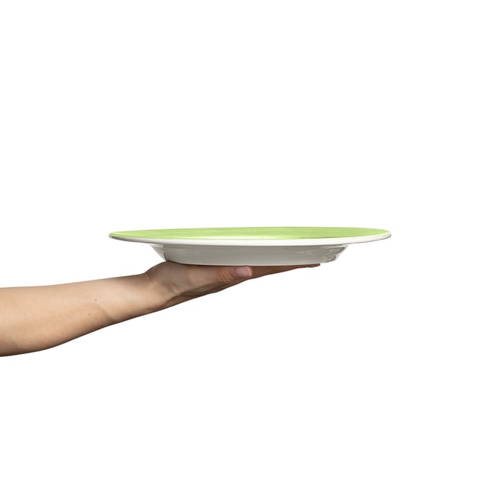 Plato Basic 28 cm, verde Mateus