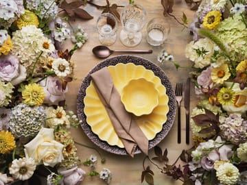 Plato Oyster 28 cm - amarillo - Mateus