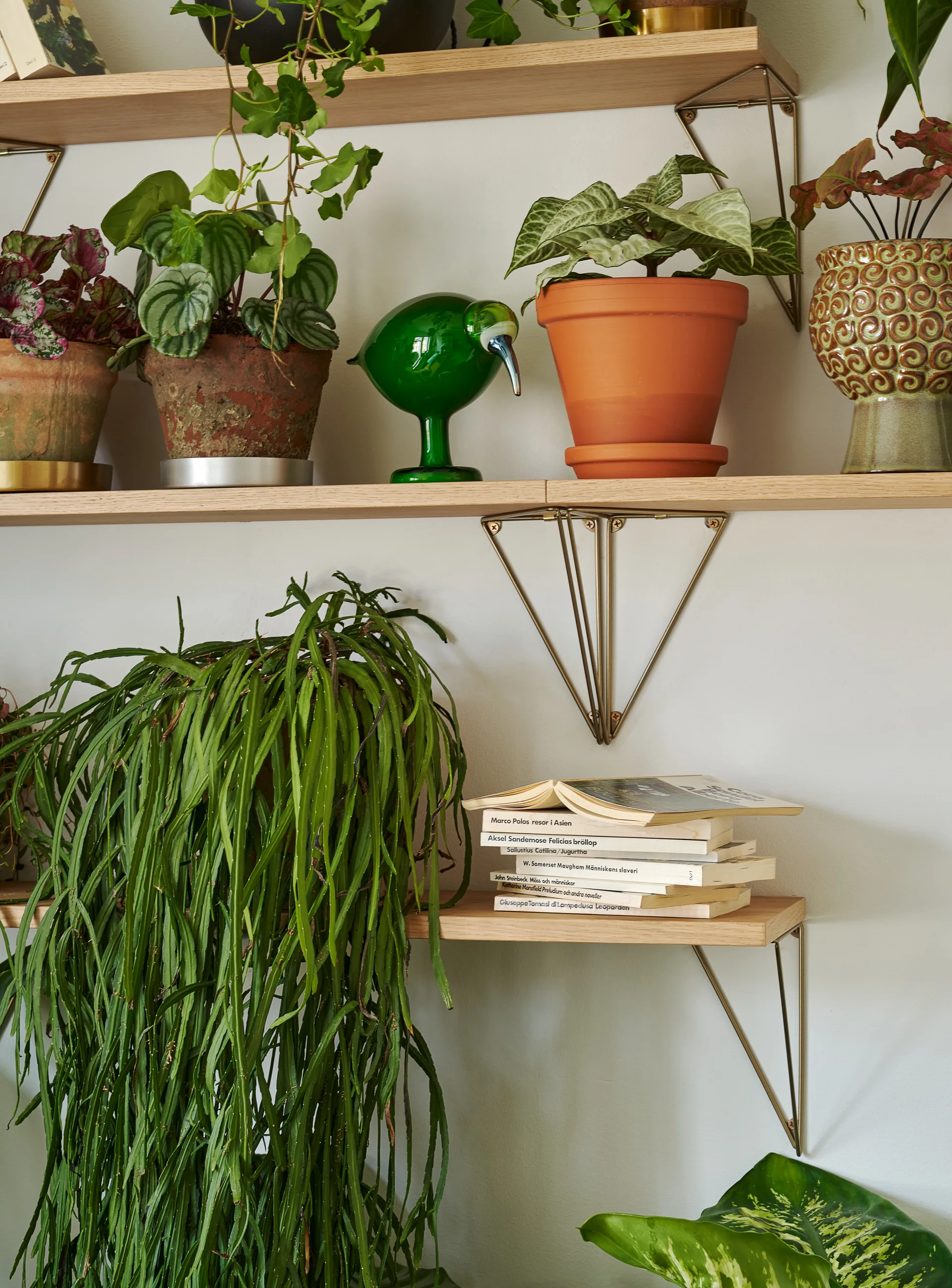 Balda Pythagoras, roble Maze