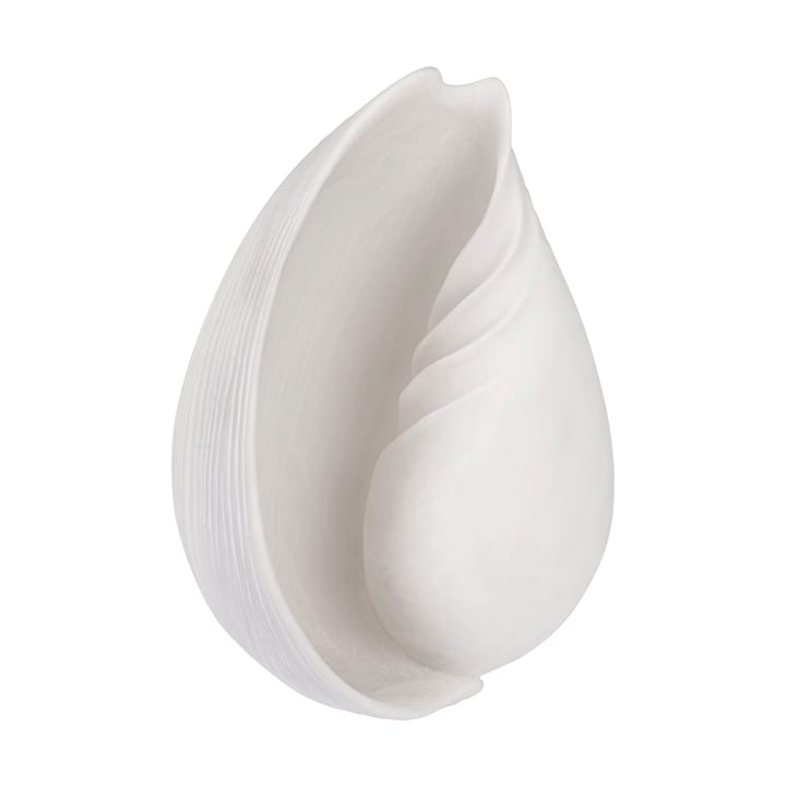 Adorno Conch concha, Large Mette Ditmer