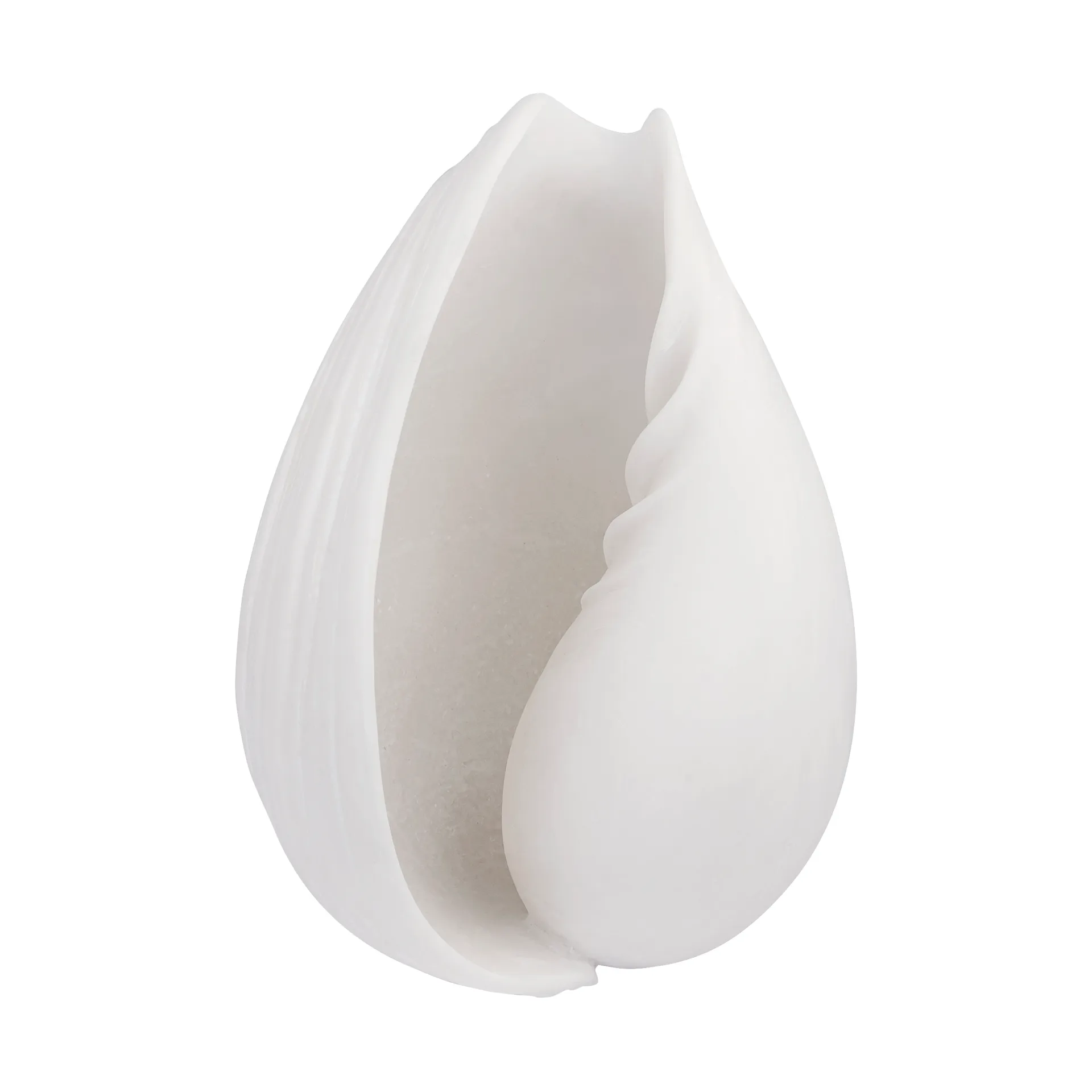 Adorno Conch concha, Small Mette Ditmer